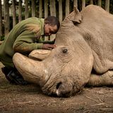 Ami Vitale/ Wildlife Photographer of the Year