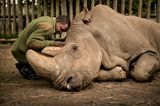 Ami Vitale/ Wildlife Photographer of the Year