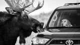 Guillermo Esteves/ Wildlife Photographer of the Year