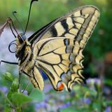 Euer Foto der Woche!