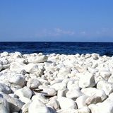 Euer Foto der Woche! - Bild 2