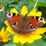 Euer Foto der Woche! - Bild 3