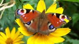 Euer Foto der Woche! - Bild 3