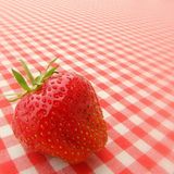 Euer Foto der Woche! - Bild 4