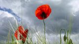 Euer Foto der Woche! - Bild 7