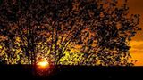 Euer Foto der Woche! - Bild 8