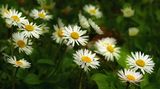 Euer Foto der Woche! - Bild 9