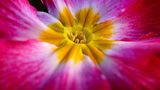 Euer Foto der Woche! - Bild 10