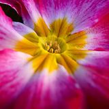 Euer Foto der Woche! - Bild 10