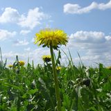 Euer Foto der Woche! - Bild 11