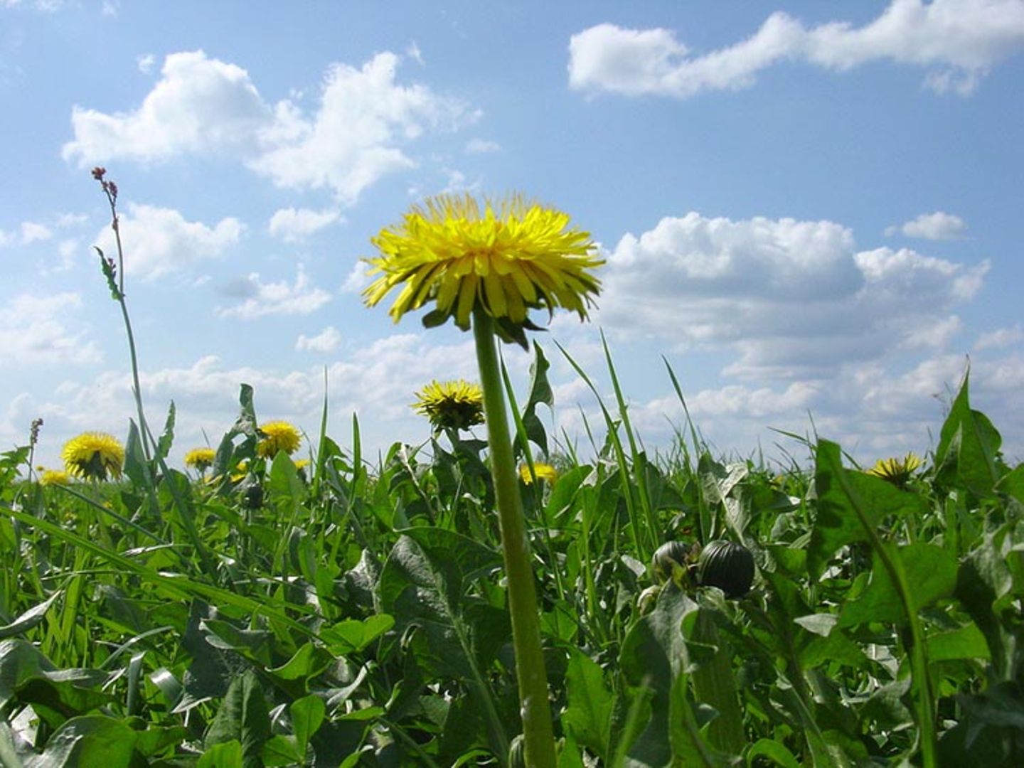 Euer Foto der Woche! - Bild 11