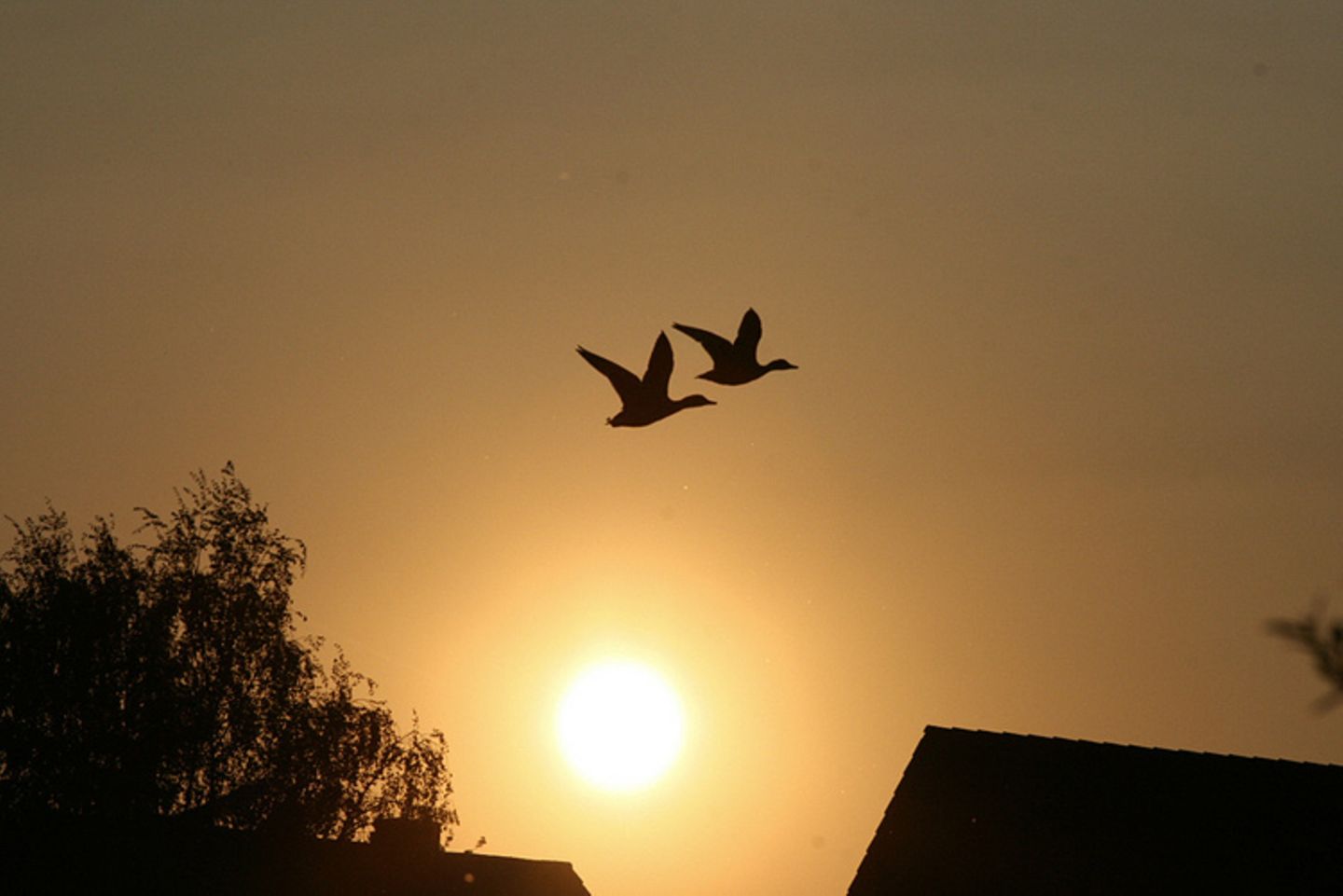 Euer Foto der Woche! - Bild 12