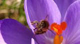 Euer Foto der Woche! - Bild 17