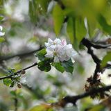 Euer Foto der Woche! - Bild 18