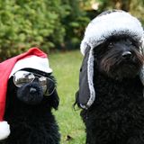 Euer Foto der Woche! - Bild 19