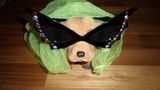 Euer Foto der Woche! - Bild 22