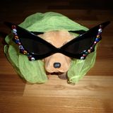 Euer Foto der Woche! - Bild 22