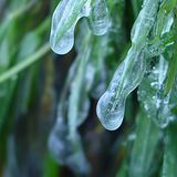 Euer Foto der Woche! - Bild 27