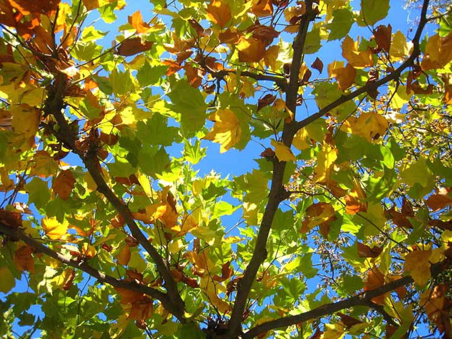 Euer Foto der Woche! - Bild 35