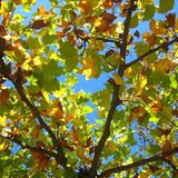 Euer Foto der Woche! - Bild 35