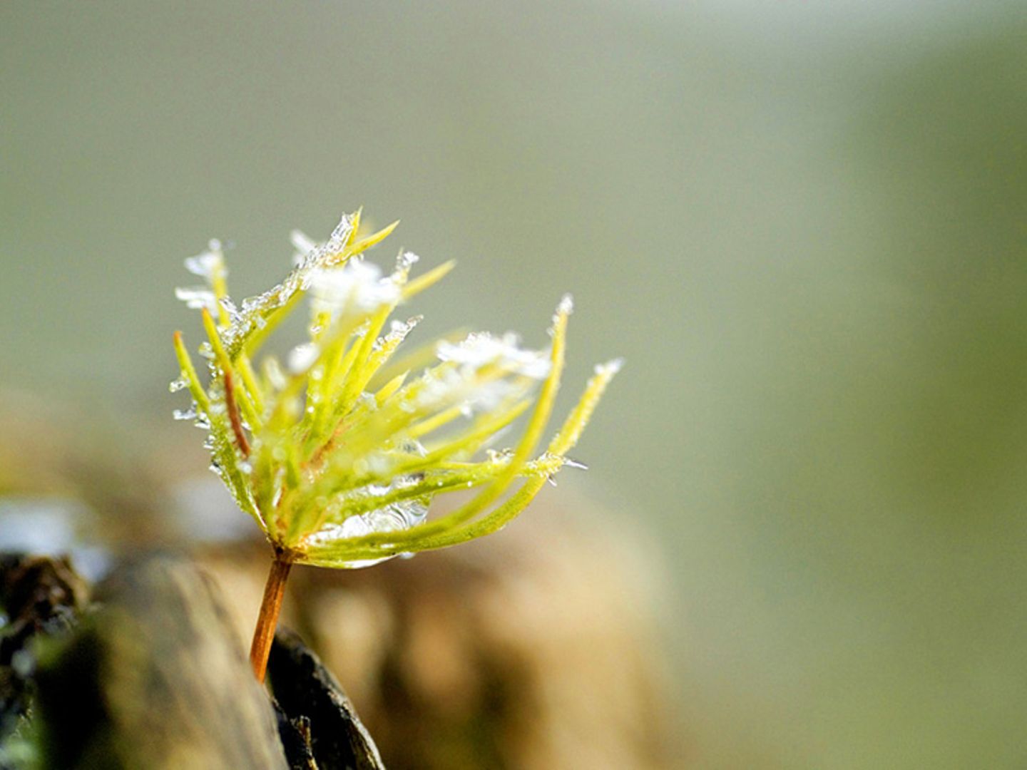 Euer Foto der Woche! - Bild 38