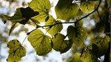 Euer Foto der Woche! - Bild 41