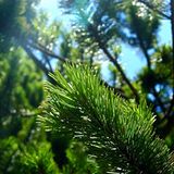 Euer Foto der Woche! - Bild 42