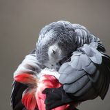 Euer Foto der Woche! - Bild 59