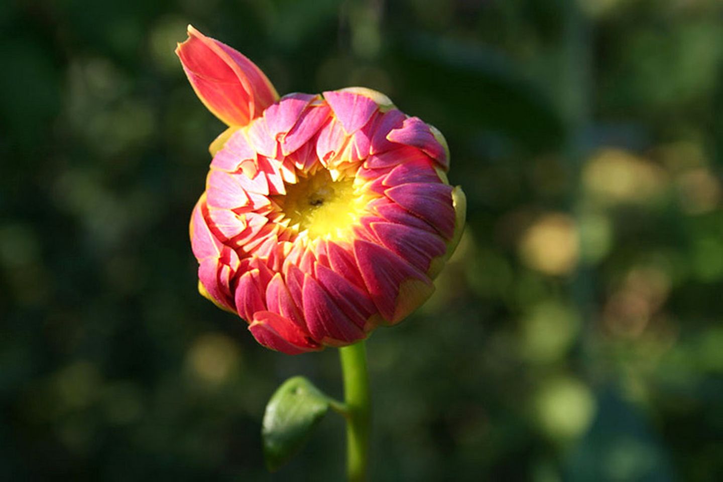 Euer Foto der Woche! - Bild 64