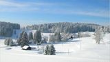 Euer Foto der Woche! - Bild 71