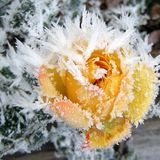 Euer Foto der Woche! - Bild 78