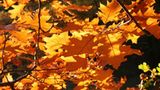 Euer Foto der Woche! - Bild 85