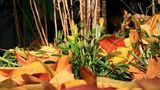 Euer Foto der Woche! - Bild 88