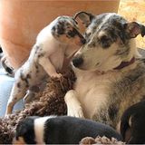 Euer Foto der Woche! - Bild 97