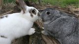 Euer Foto der Woche! - Bild 98