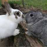 Euer Foto der Woche! - Bild 98