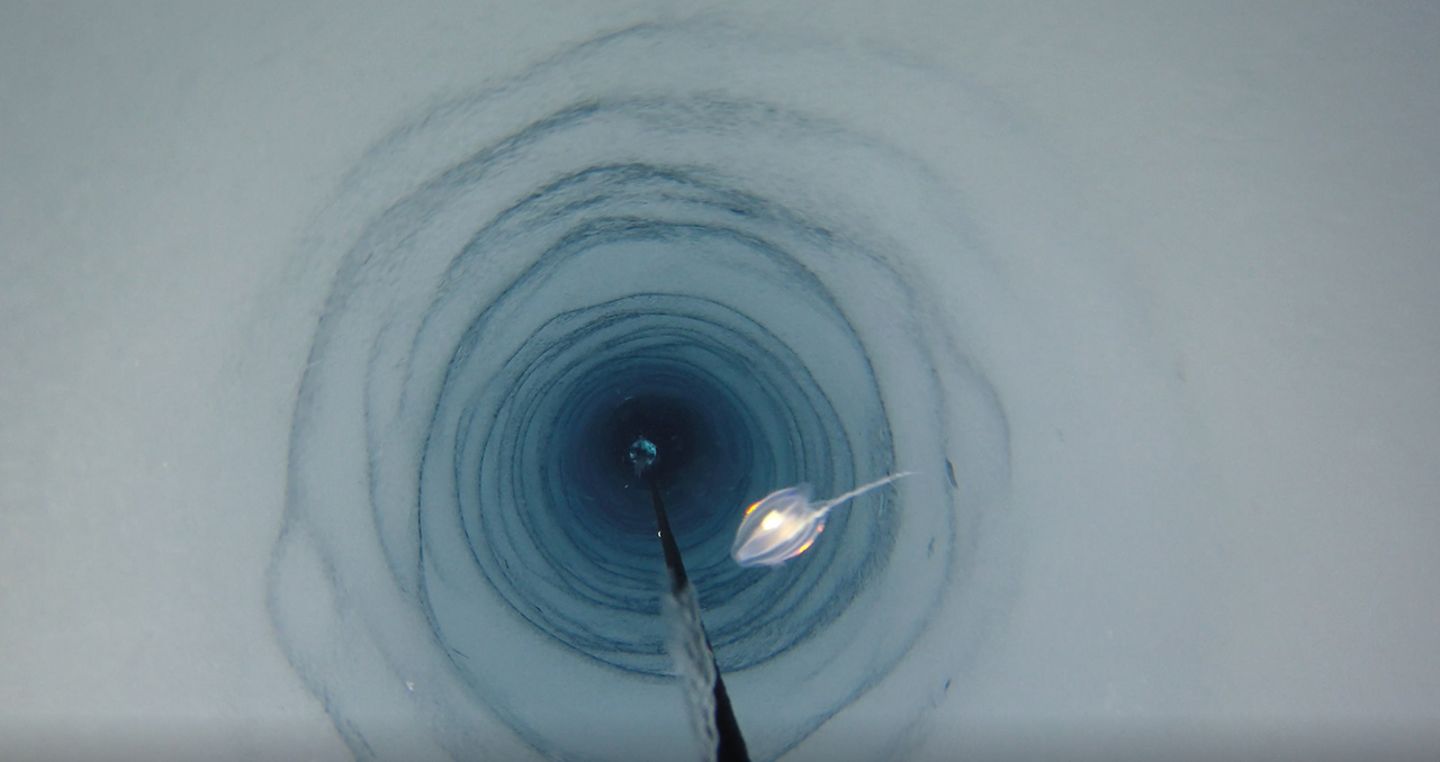Zufallsfund: Antarktis, Weddellmeer: Die Kamera des British Antarctic Survey fährt in das 900 Meter lange Bohrloch im Filchner-Ronne-Schelfeis