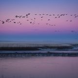 Nieuwe Statenzijl, Niederlande