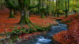Naturpark Gorbeia, Spanien