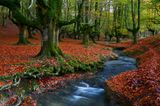 Naturpark Gorbeia, Spanien