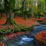 Naturpark Gorbeia, Spanien