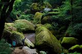 Der Wald von Huelgoat, Frankreich