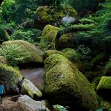 Der Wald von Huelgoat, Frankreich