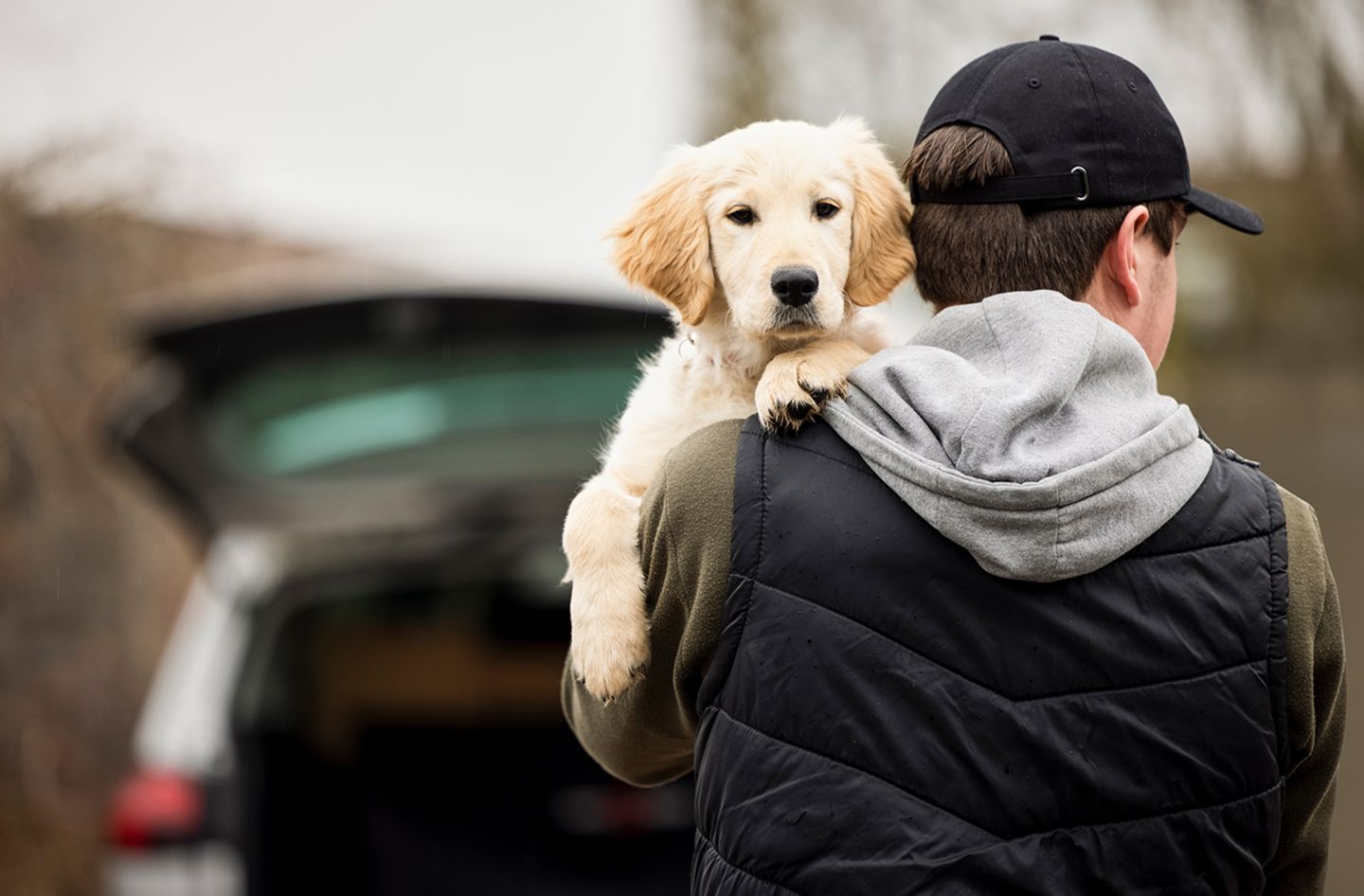 fingeraftryk uregelmæssig Fremskreden Haustier-Boom: Vorsicht vor Hunde-Diebstahl! - [GEO]