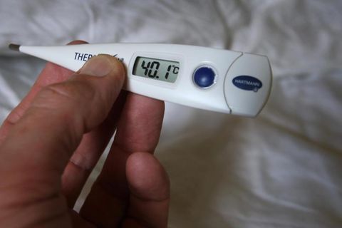 Fieber ist ein Hinweis auf die Sepsis / Blutvergiftung