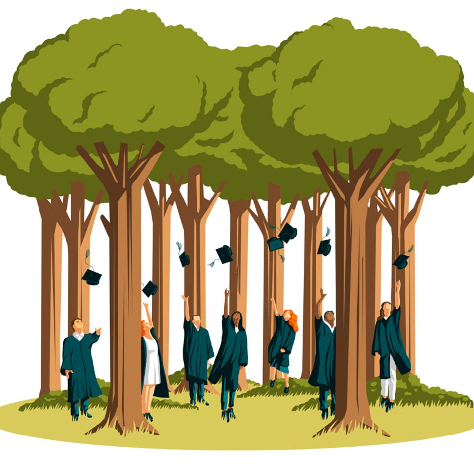 Ökologische Waldbewirtschaftung
