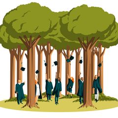 Ökologische Waldbewirtschaftung