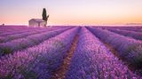 Provence, Frankreich