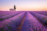 Provence, Frankreich