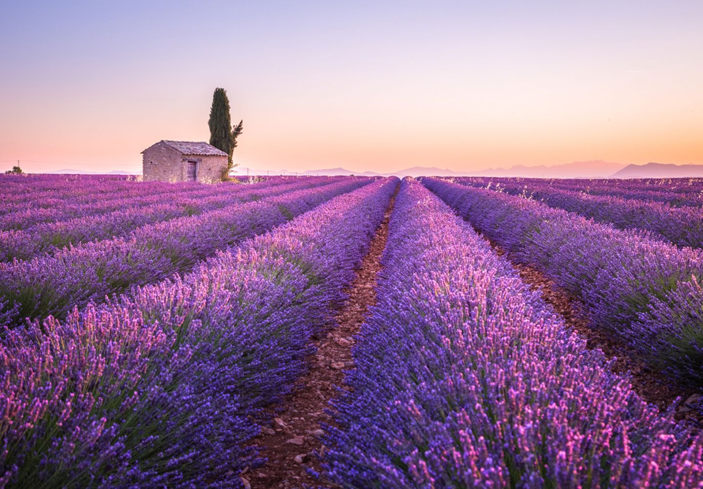 Provence, Frankreich